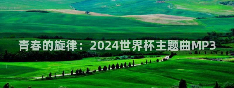 英格兰联赛杯直播:青春的旋律:2024世界杯主题曲MP3