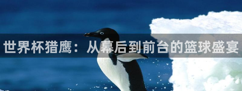 世预赛免费直播入口:世界杯猎鹰:从幕后到前台的篮球盛宴