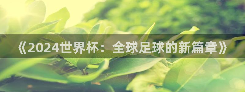 葡萄牙世界杯赛程:《2024世界杯:全球足球的新篇章》