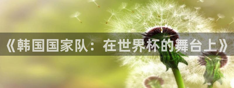 世界杯足球直播:《韩国国家队:在世界杯的舞台上》