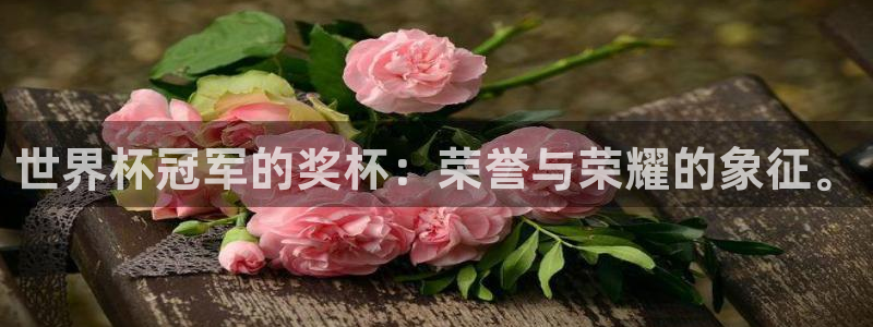 足球世预赛:世界杯冠军的奖杯:荣誉与荣耀的象征。