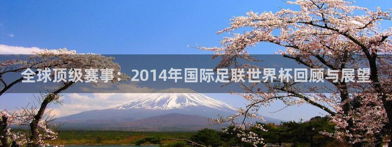 世界杯球队:全球顶级赛事:2014年国际足联世界杯回顾与展望