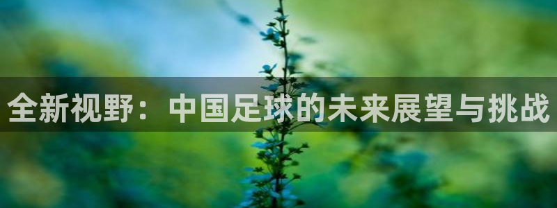 2026年足球世界杯赛程时间表:全新视野:中国足球的未来展望与挑战