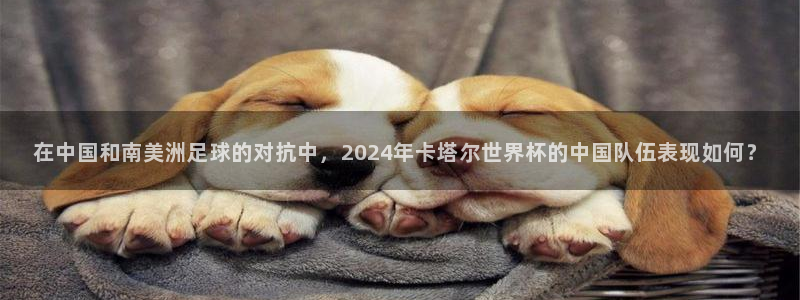 世界杯对阵表:在中国和南美洲足球的对抗中,2024年卡塔尔世界杯的中国队伍表现如何?