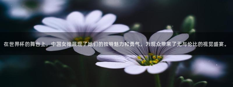 2026年男足世界杯:在世界杯的舞台上,中国女排展现了她们的独特魅力和勇气,为观众带来了无与伦比的视觉盛宴。
