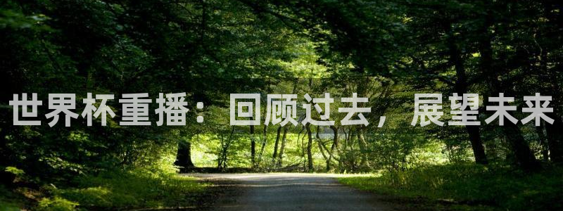 世界杯足球2026:世界杯重播:回顾过去,展望未来