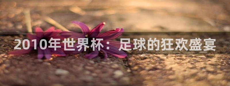 世界杯预选赛赛程:2010年世界杯:足球的狂欢盛宴